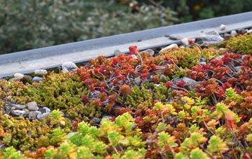 the cost of Baile Na Creige green roof installation
