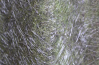 Baile Na Creige fibreglass roof work